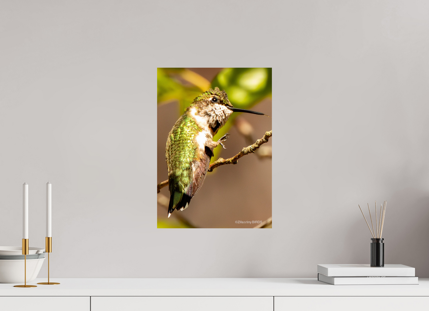 12 x 16.8″, Photo Print On Fuji Crystal DP II Zillas Zoom Image 471