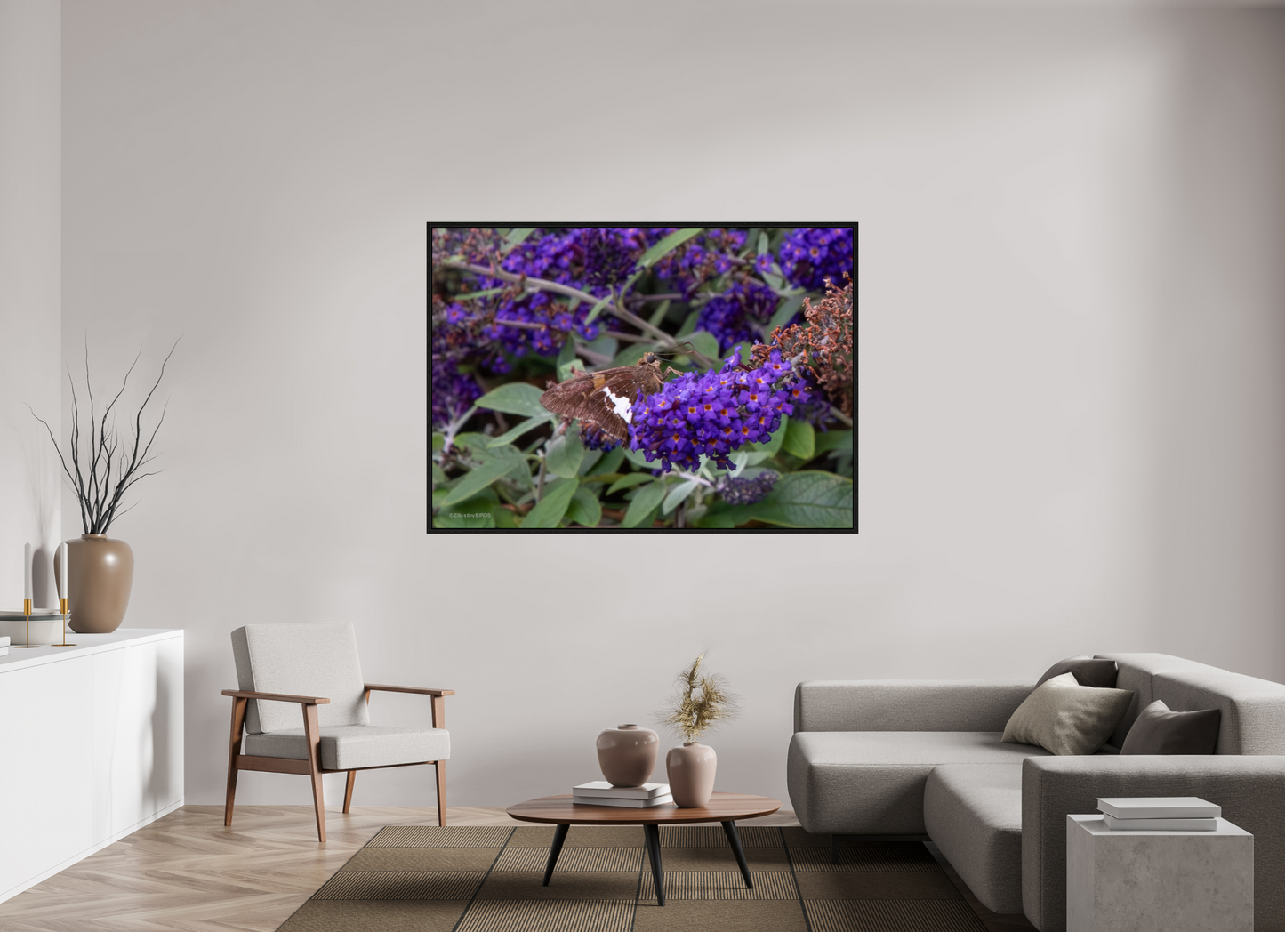 65.8 x 47″, Floater Frame Zillas Zoom Image 60