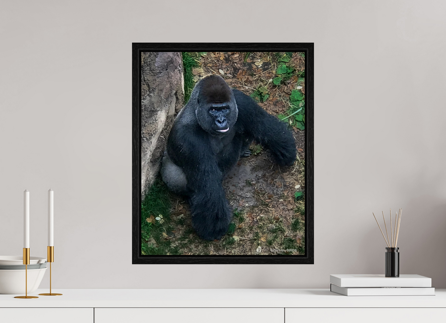 16 x 19.9″, Floater Frame Zillas zoom image 151