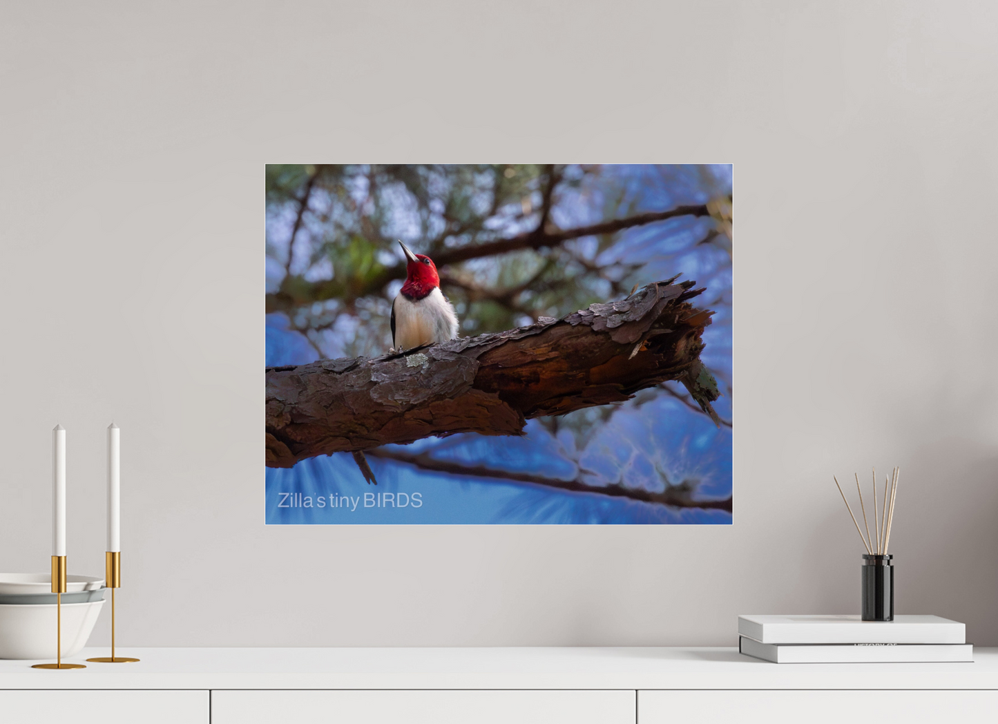 20.7 x 16″, Photo Print Under Acrylic Glass Zillas Zoom Image 375