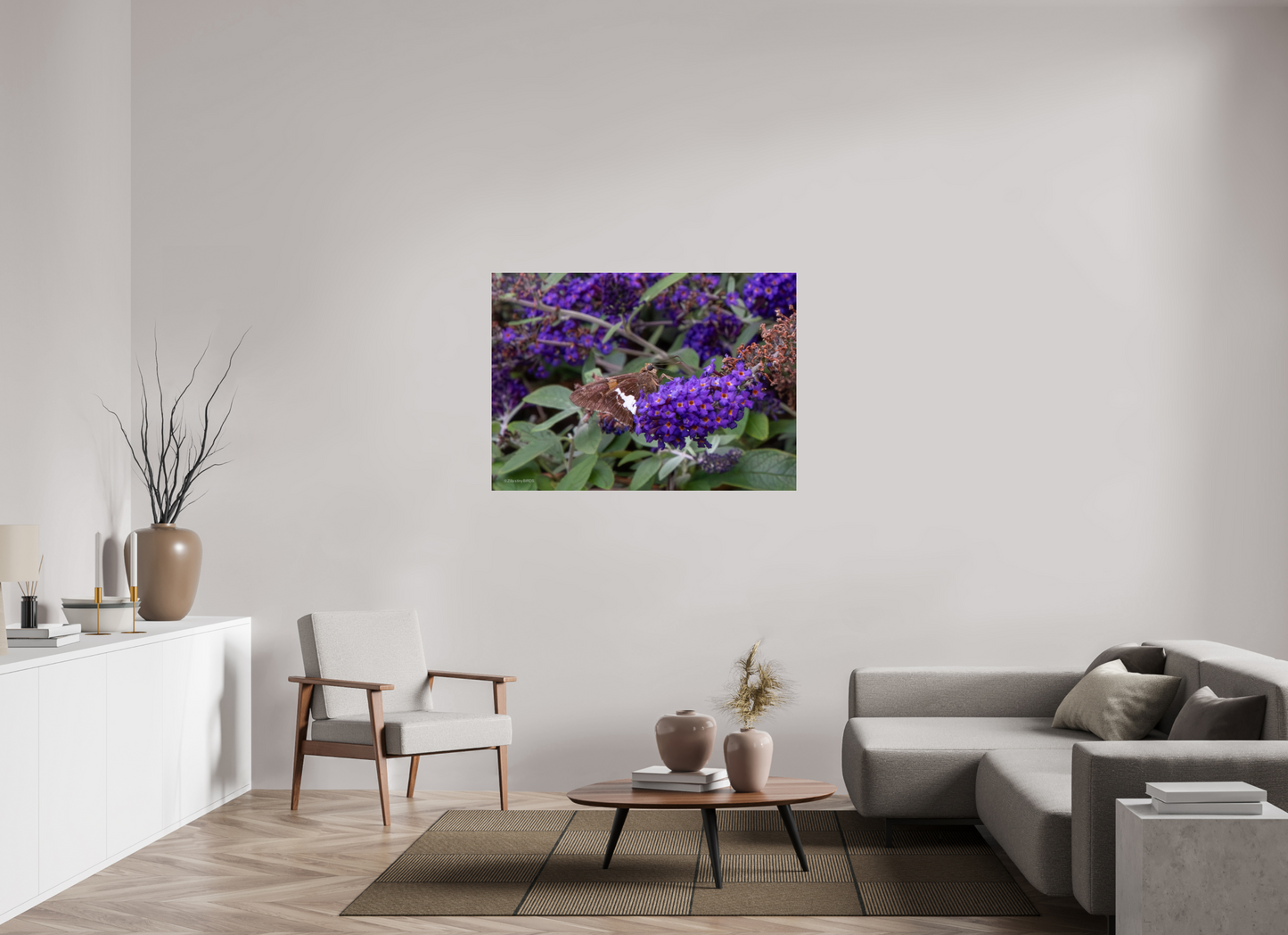 49 x 35″, Photo Print Under Acrylic Glass Zillas Zoom Image 60