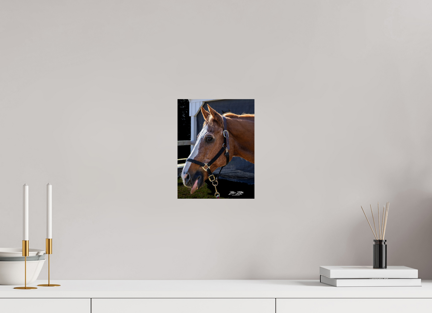 8 x 10.4″, Photo Print On Fuji Crystal DP II Zillas zoom image 157