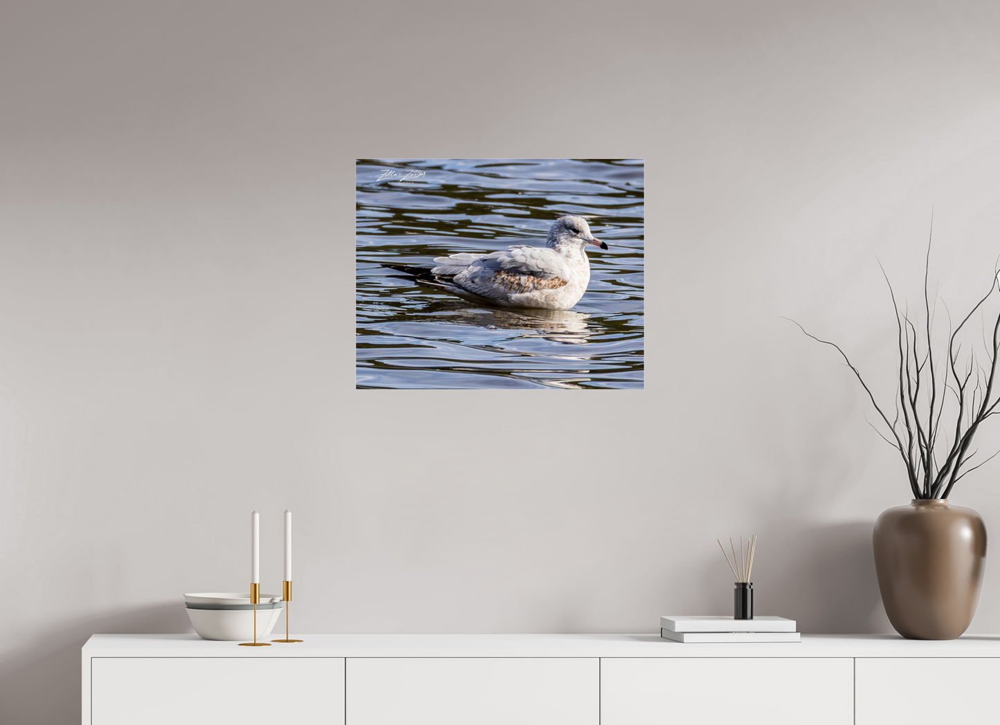 25 x 20″, Photo Print Under Acrylic Glass Zillas Zoom Image 271