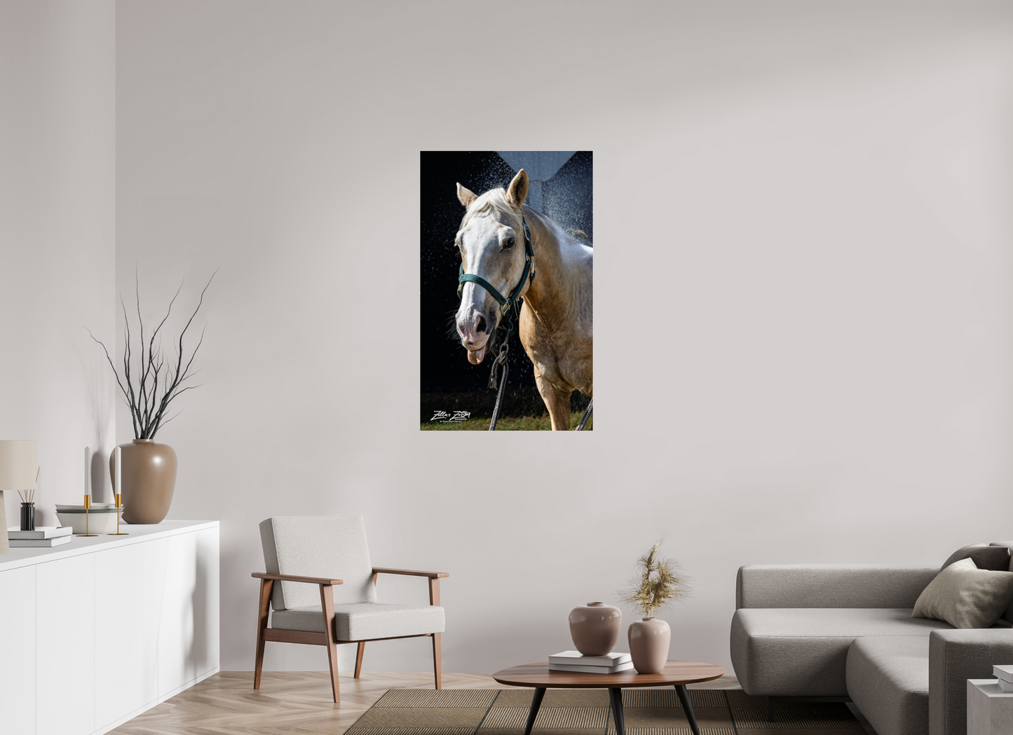 28 x 45.3″, Photo Print Under Acrylic Glass Zillas zoom image 156