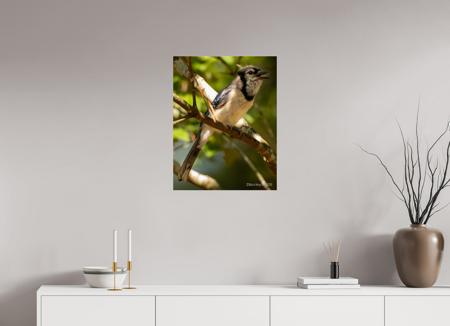 20 x 25.9″, Photo Print Under Acrylic Glass Zillas Zoom Image 517