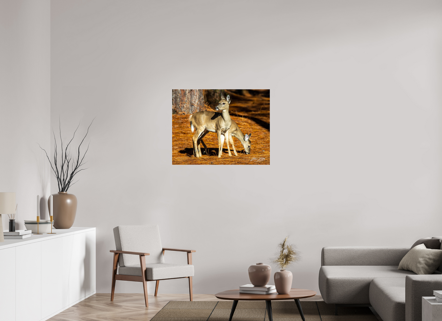 36.3 x 28″, Photo Print Under Acrylic Glass Zillas zoom image 144