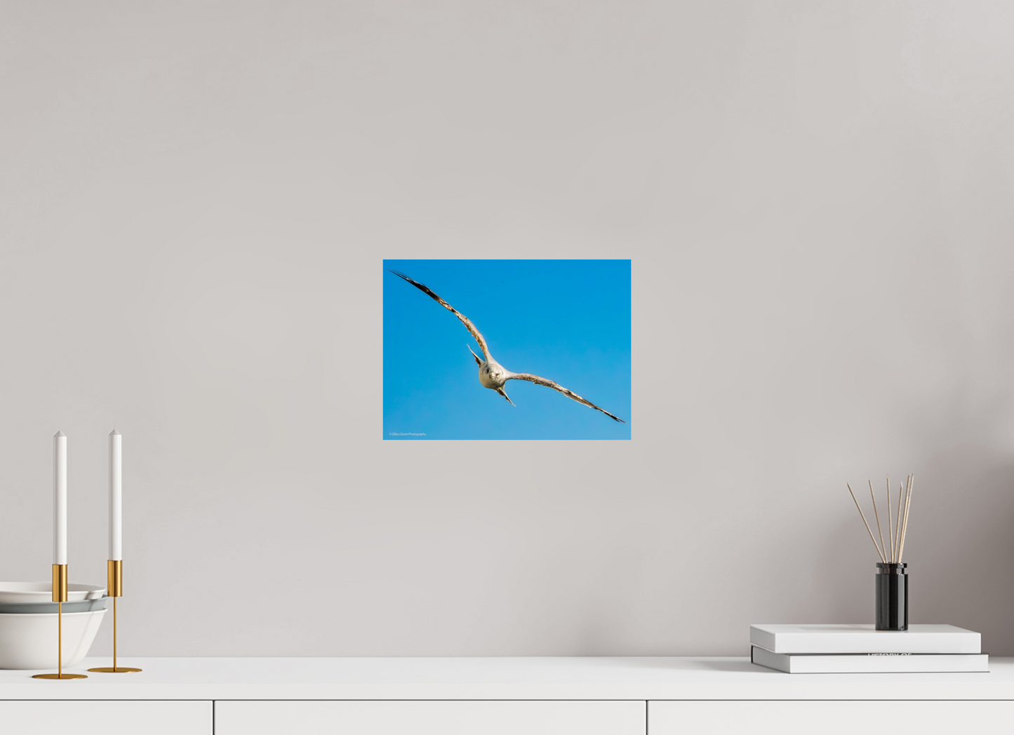 11 x 8″, Photo Print On Fuji Crystal DP II Zillas Zoom Image 365
