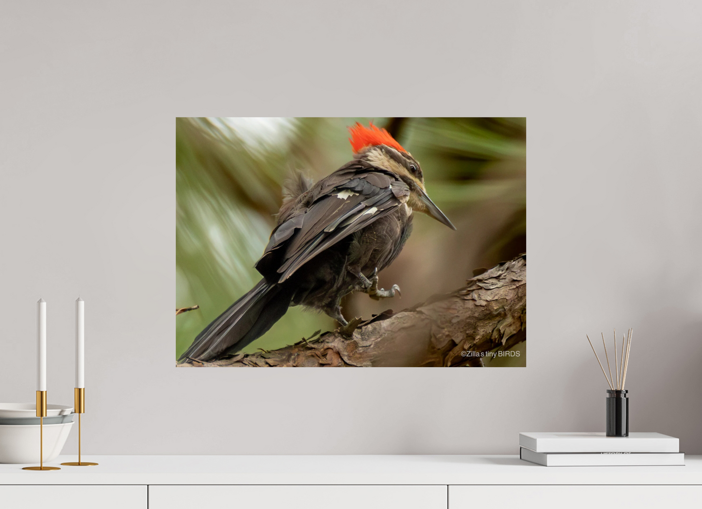 22.4 x 16″, Photo Print On Fuji Crystal DP II Zillas Zoom Image 333