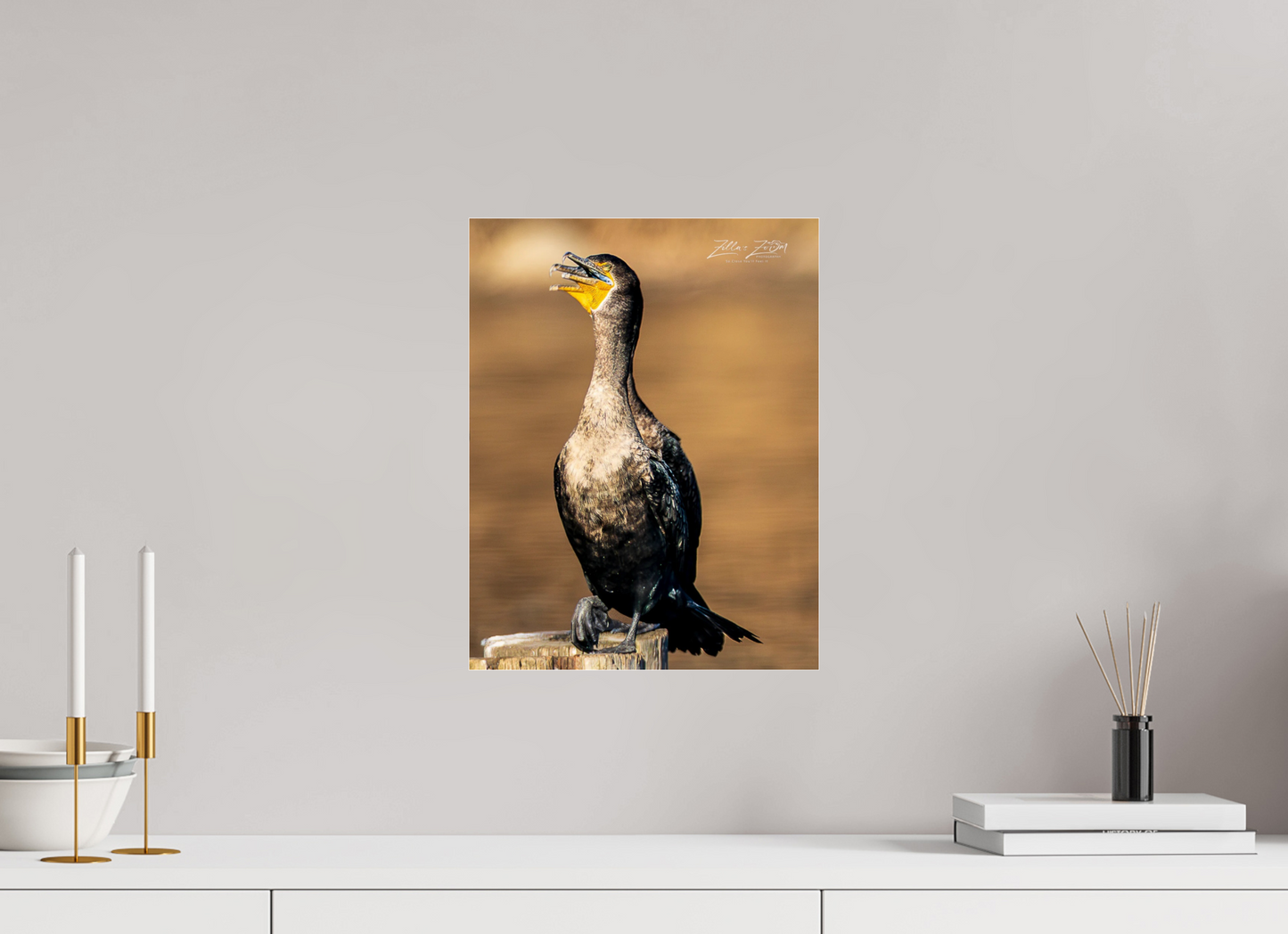 12 x 15.5″, Photo Print Under Acrylic Glass Zillas Zoom Image 421