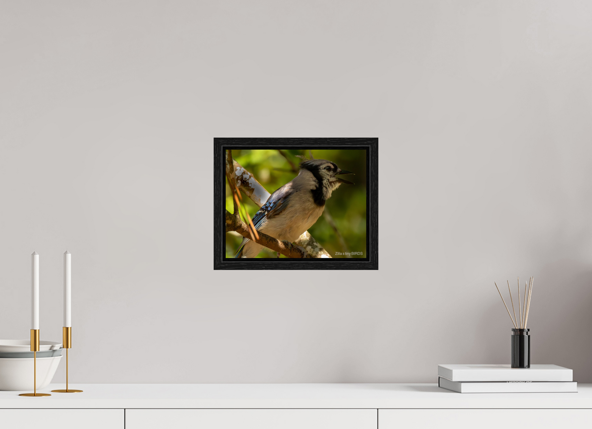 10.4 x 8″, Floater Frame Zillas Zoom Image 378
