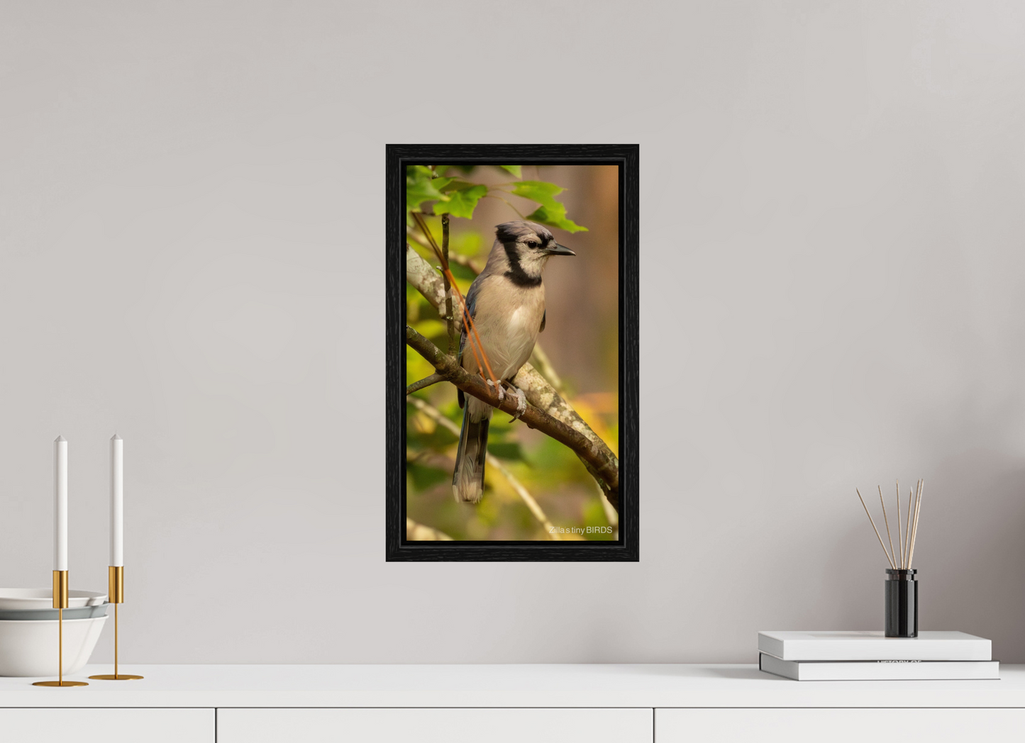 9 x 16″, Floater Frame Zillas Zoom Image 491