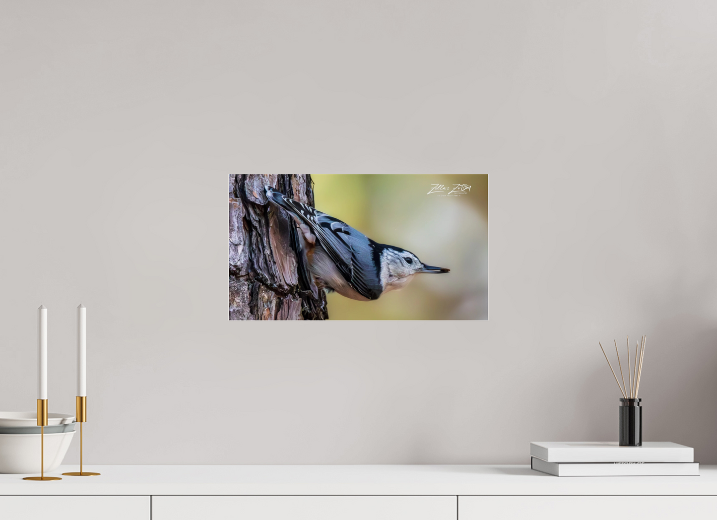 16 x 9″, Photo Print Under Acrylic Glass Zillas Zoom Image 326