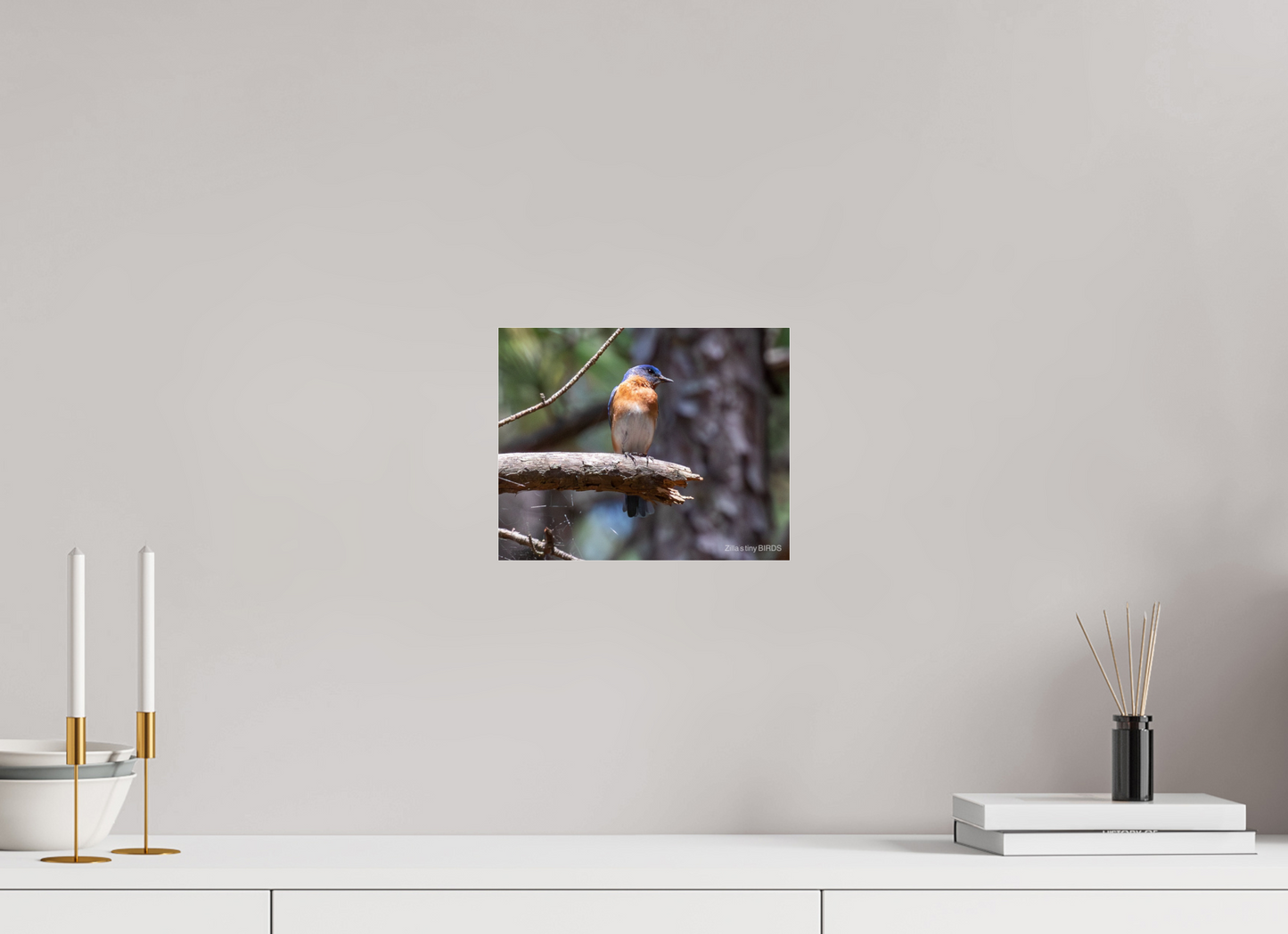 10 x 8″, Photo Print Under Acrylic Glass Zillas Zoom Image 368