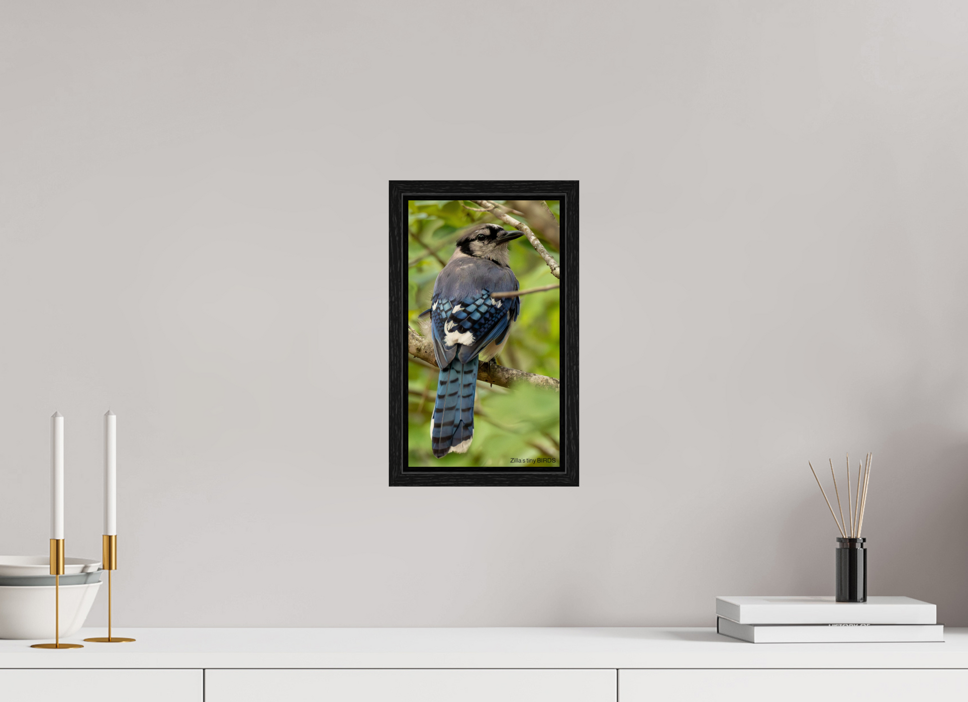 6.8 x 12″, Floater Frame Zillas Zoom Image 485