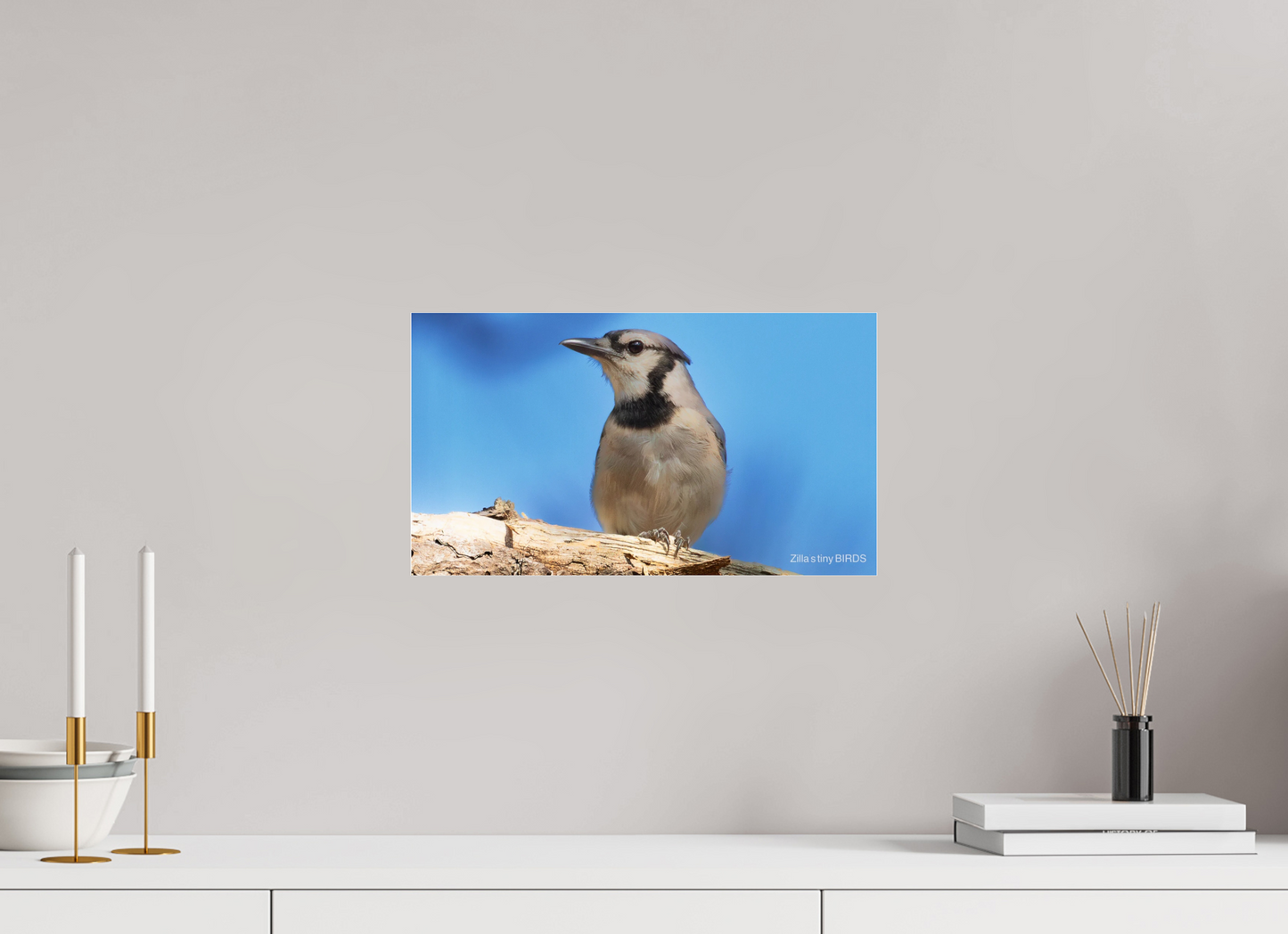 16 x 9″, Photo Print Under Acrylic Glass Zillas Zoom Image 384
