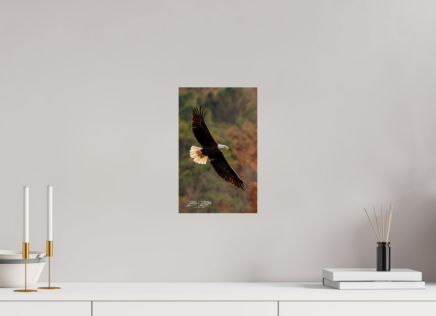 8 x 12.8″, Photo Print Under Acrylic Glass Zillas Zoom Image 417