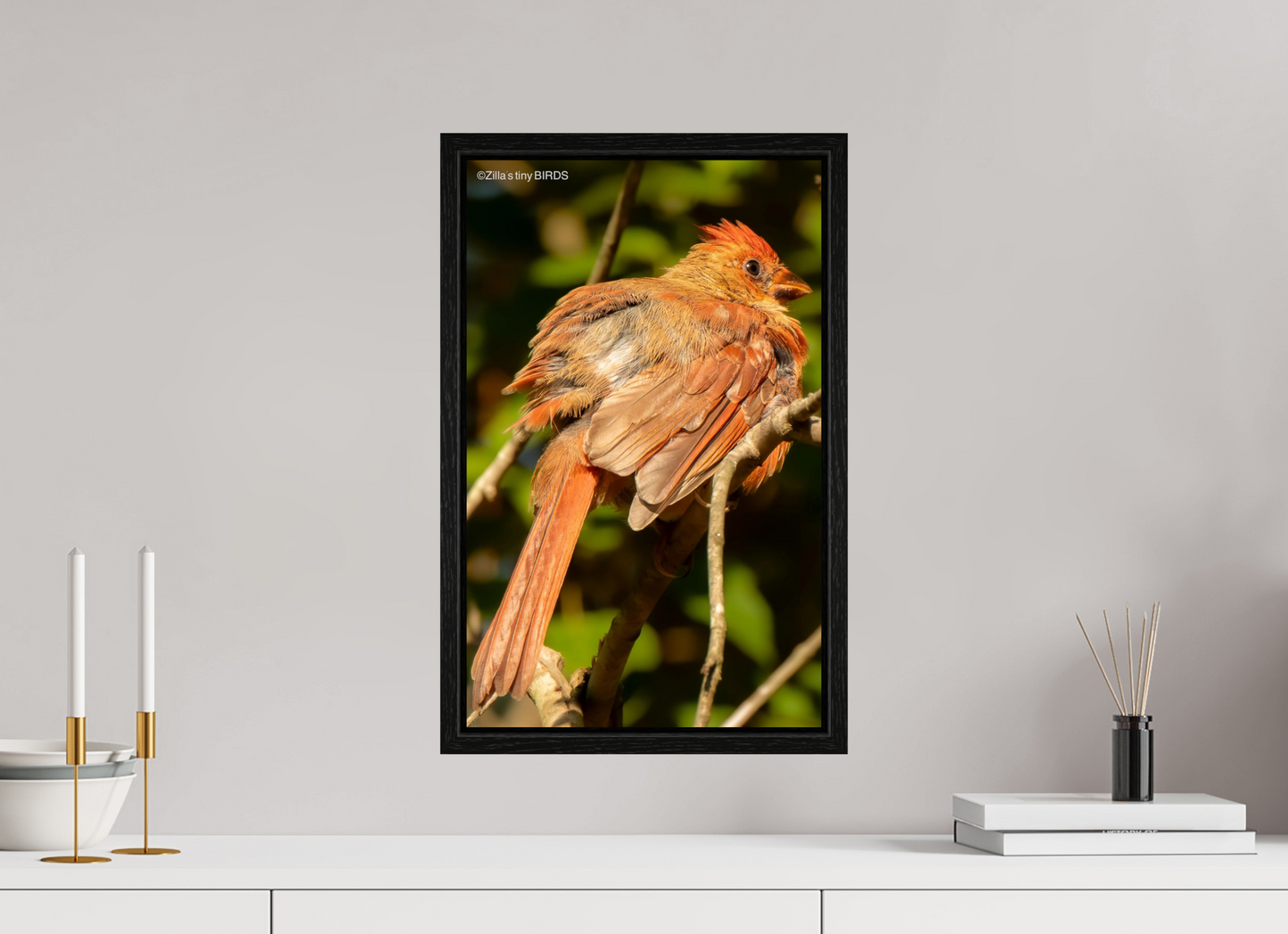 12 x 19.2″, Floater Frame Zillas Zoom Image 403