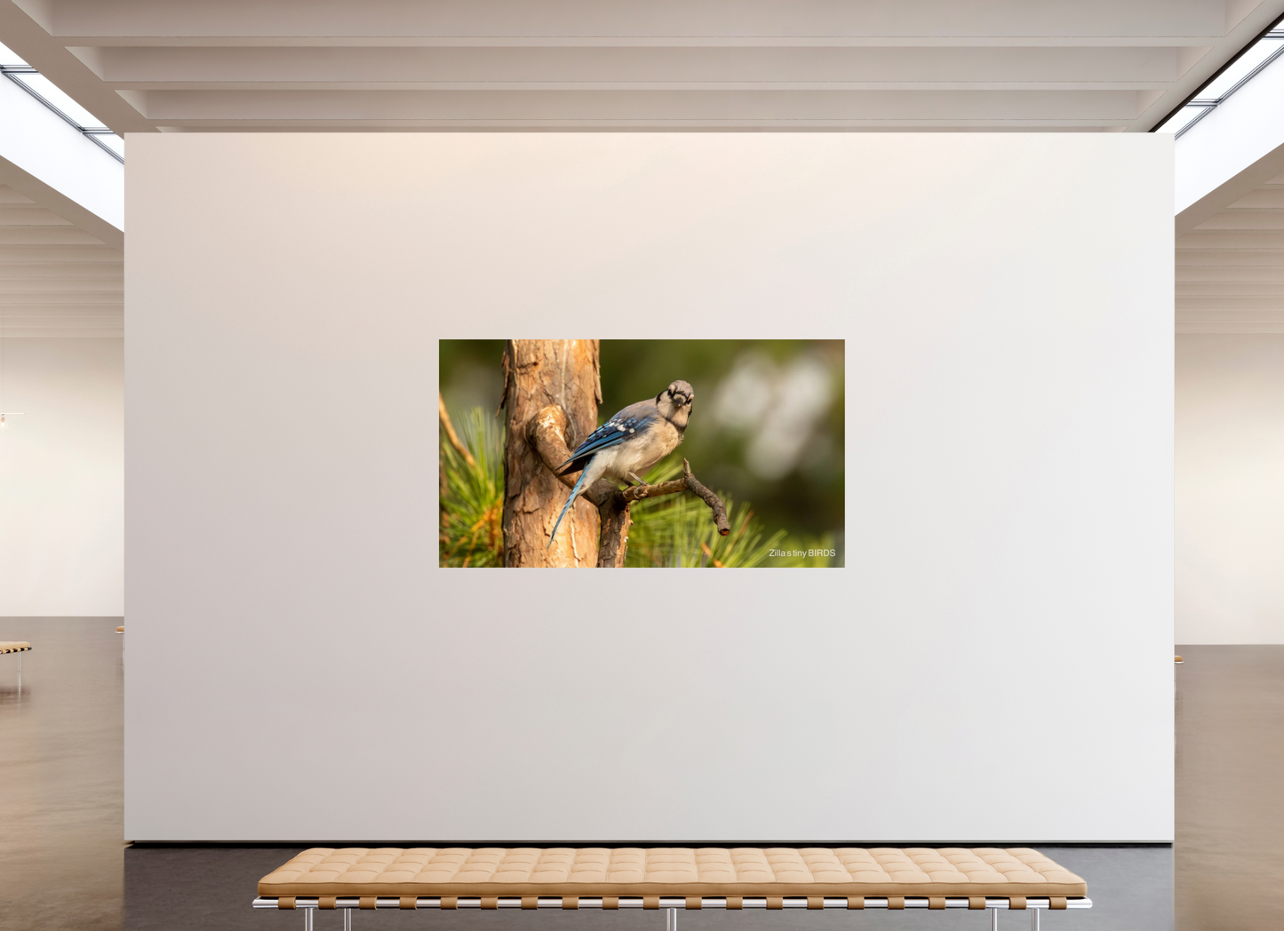 80 x 45″, Photo Print On Fuji Crystal DP II Zillas Zoom Image 385