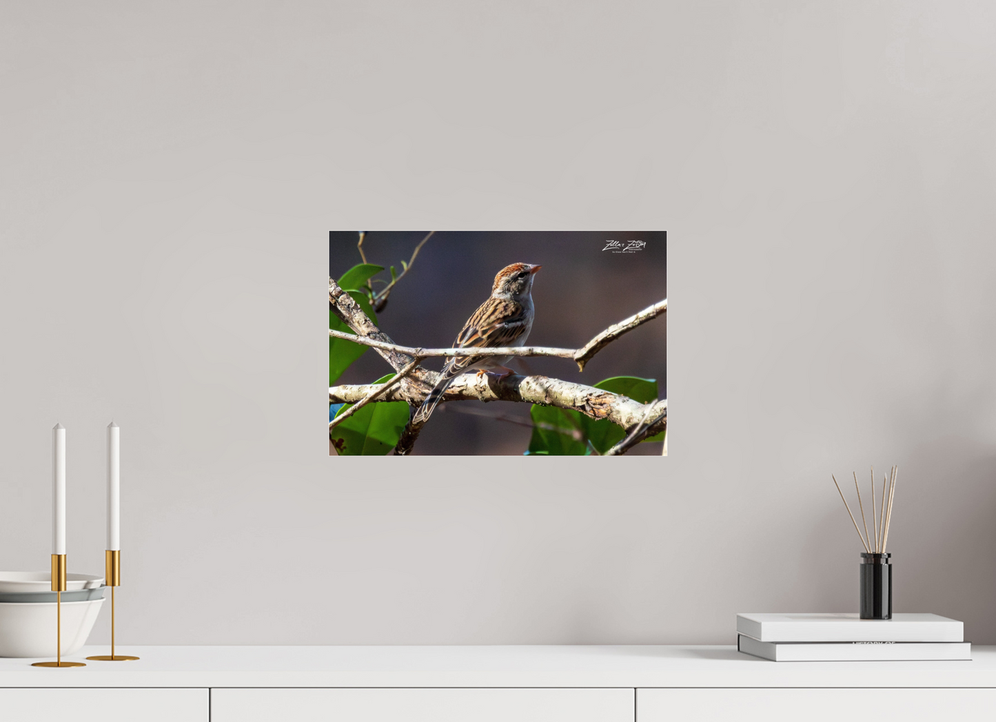 15 x 10″, Photo Print Under Acrylic Glass Zillas Zoom Image 289