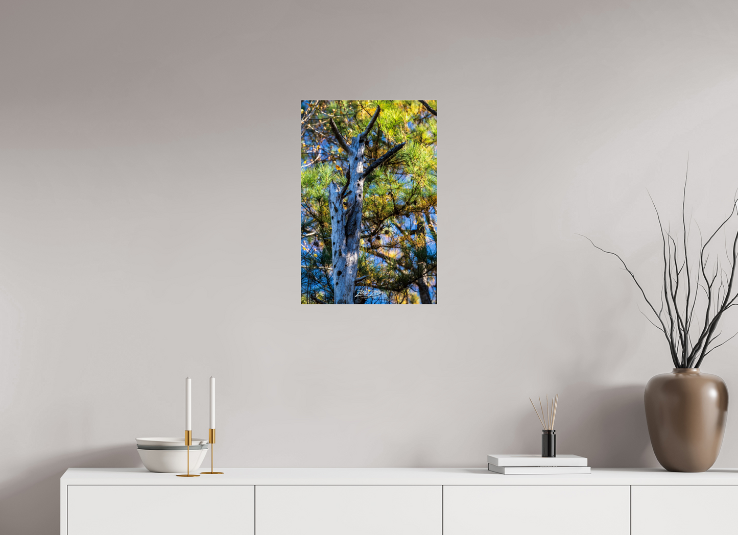 16 x 24″, Photo Print Under Acrylic Glass Zillas Zoom Image 252