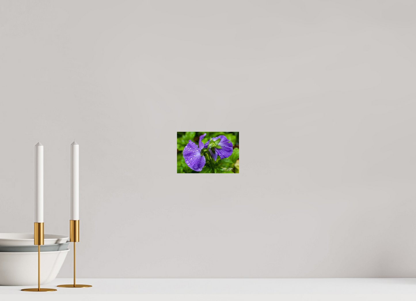 6 x 4″, Photo Print On Fuji Crystal DP II Zillas Zoom Image 93