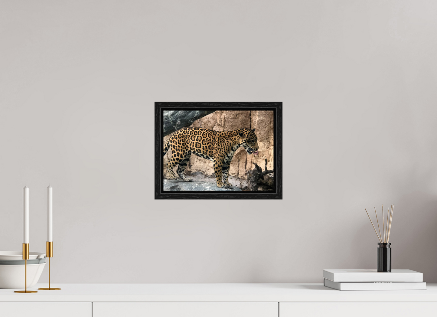 11 x 8″, Floater Frame Zillas zoom image 137