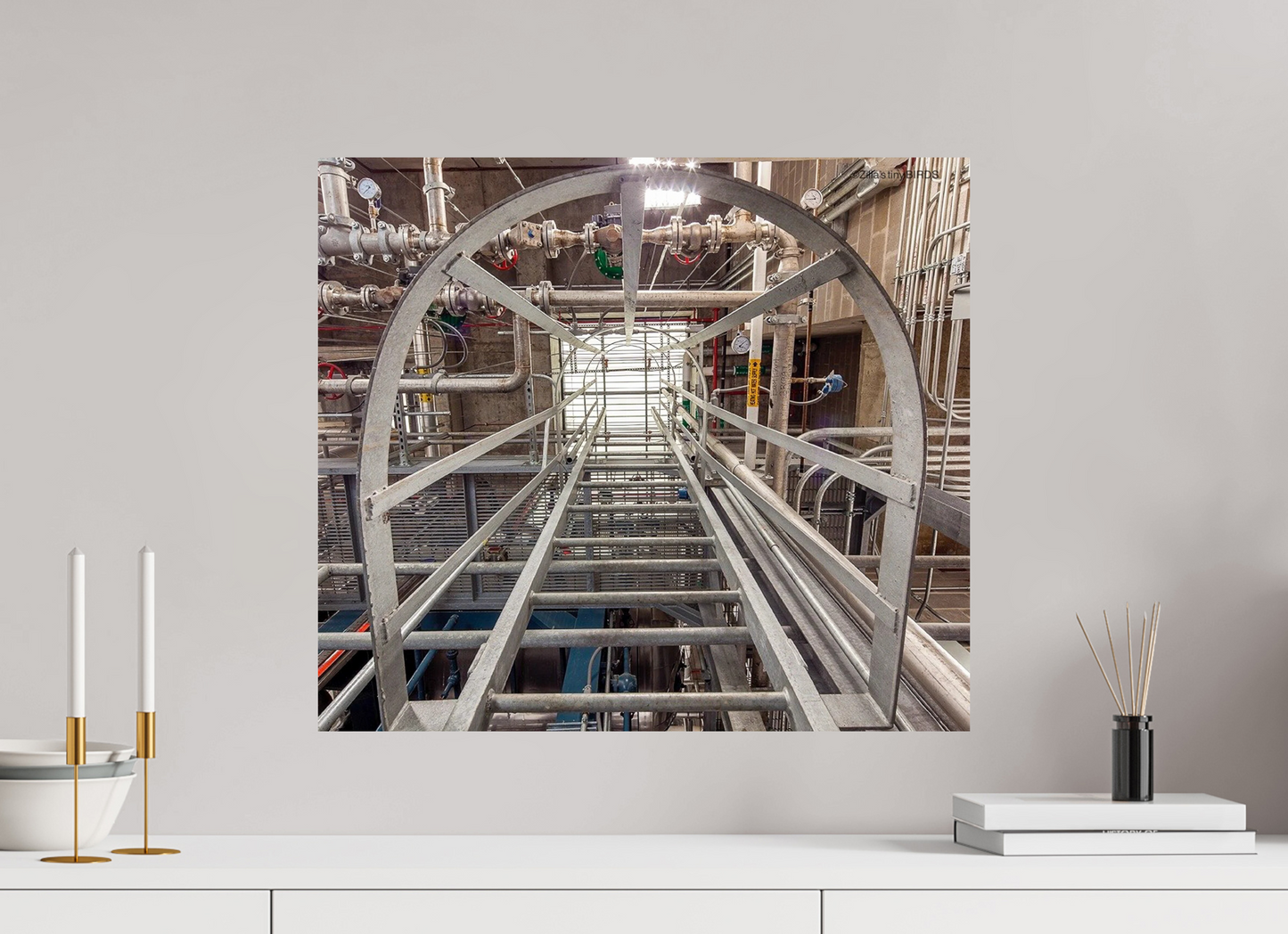 22.7 x 20″, Photo Print On Fuji Crystal DP II Zillas Zoom Image 41
