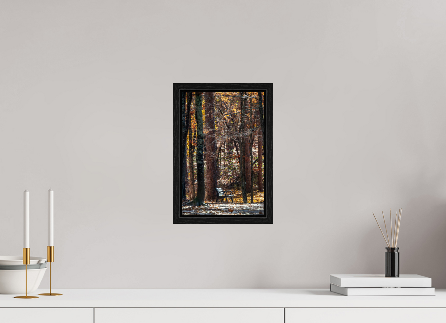 8 x 12″, Floater Frame Zillas Zoom Image 259