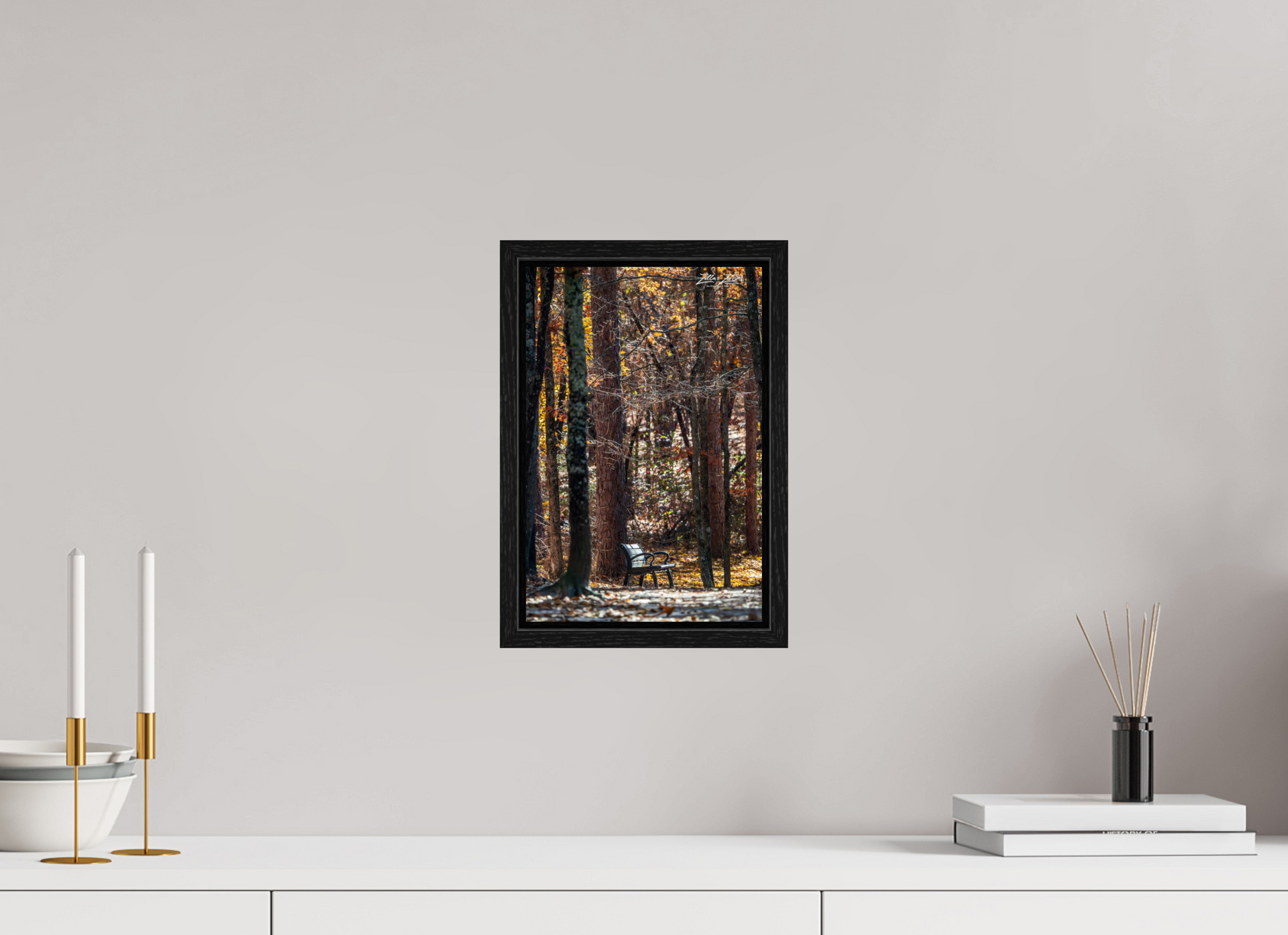 8 x 12″, Floater Frame Zillas Zoom Image 259