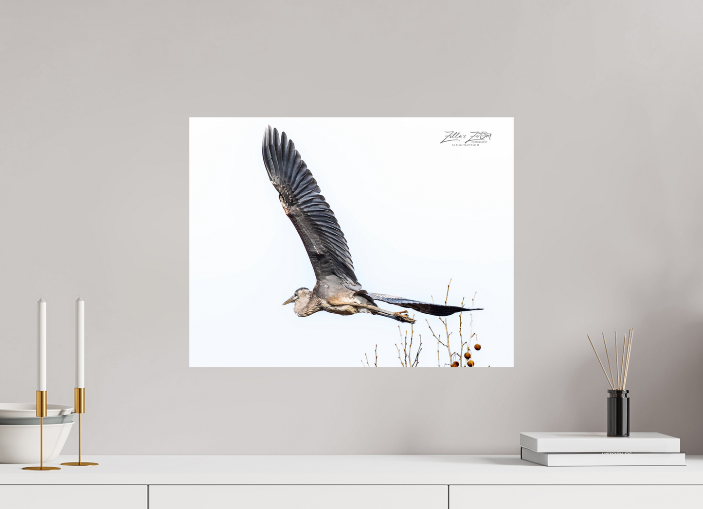 20.7 x 16″, Photo Print On Fuji Crystal DP II Zillas Zoom Image 277