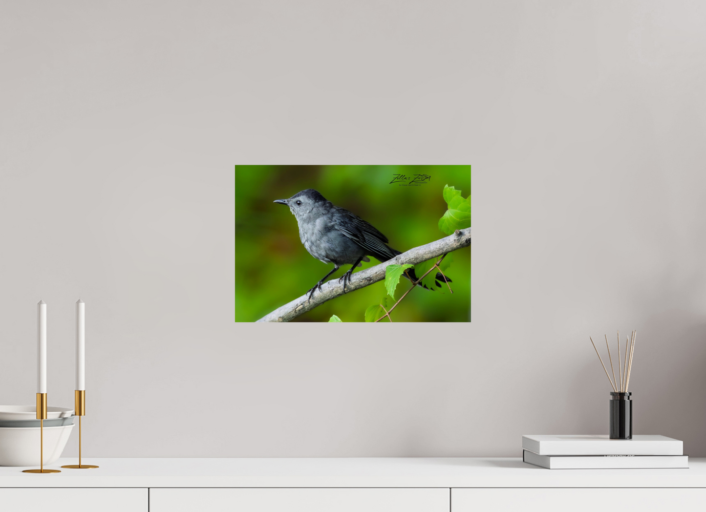 15 x 10″, Photo Print On Fuji Crystal DP II Zillas Zoom Image 302