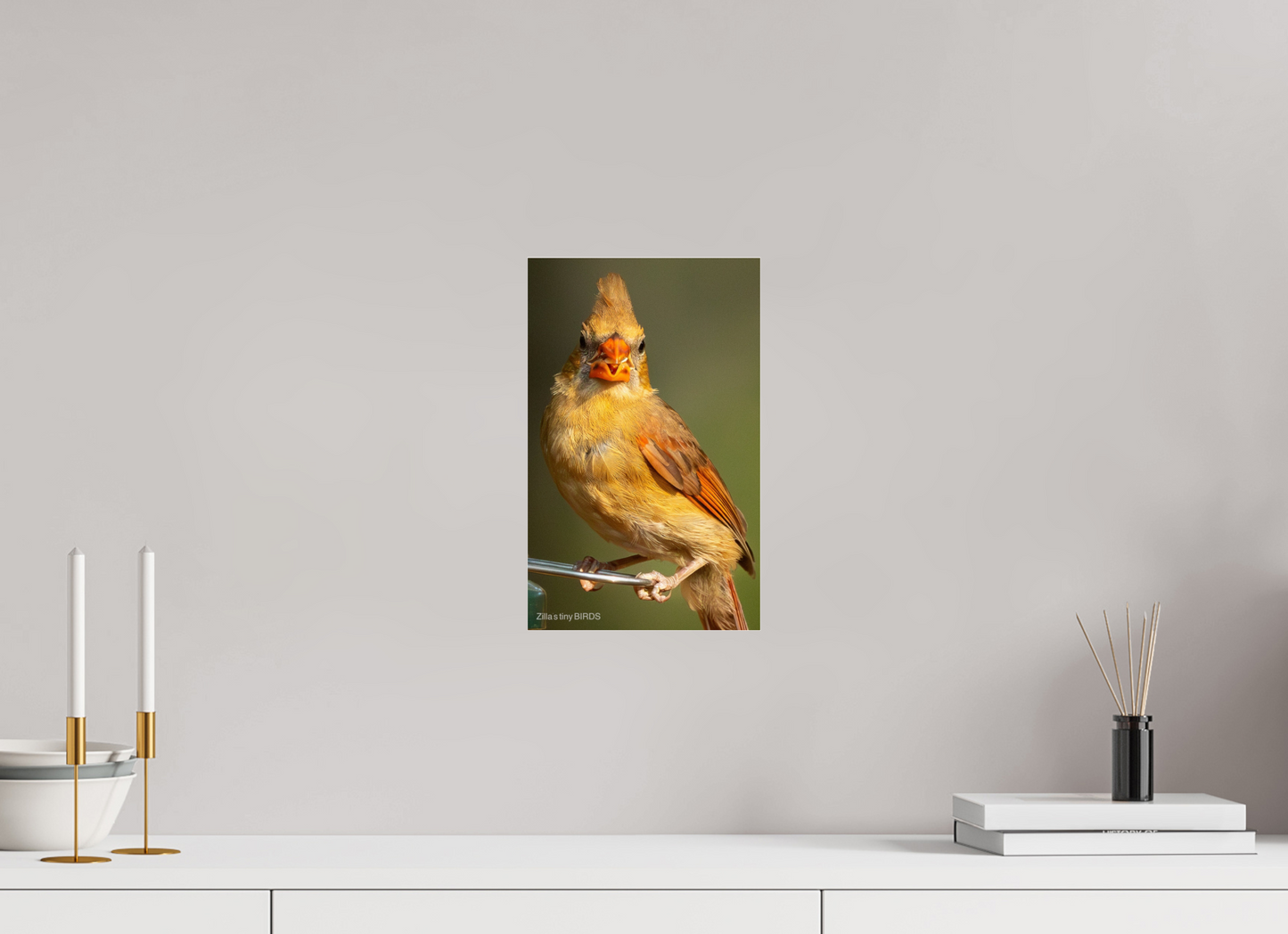 8 x 12.8″, Photo Print Under Acrylic Glass Zillas Zoom Image 509