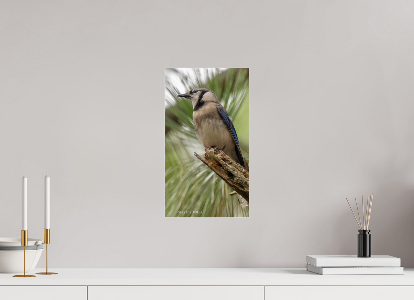 9 x 16″, Photo Print Under Acrylic Glass Zillas Zoom Image 488