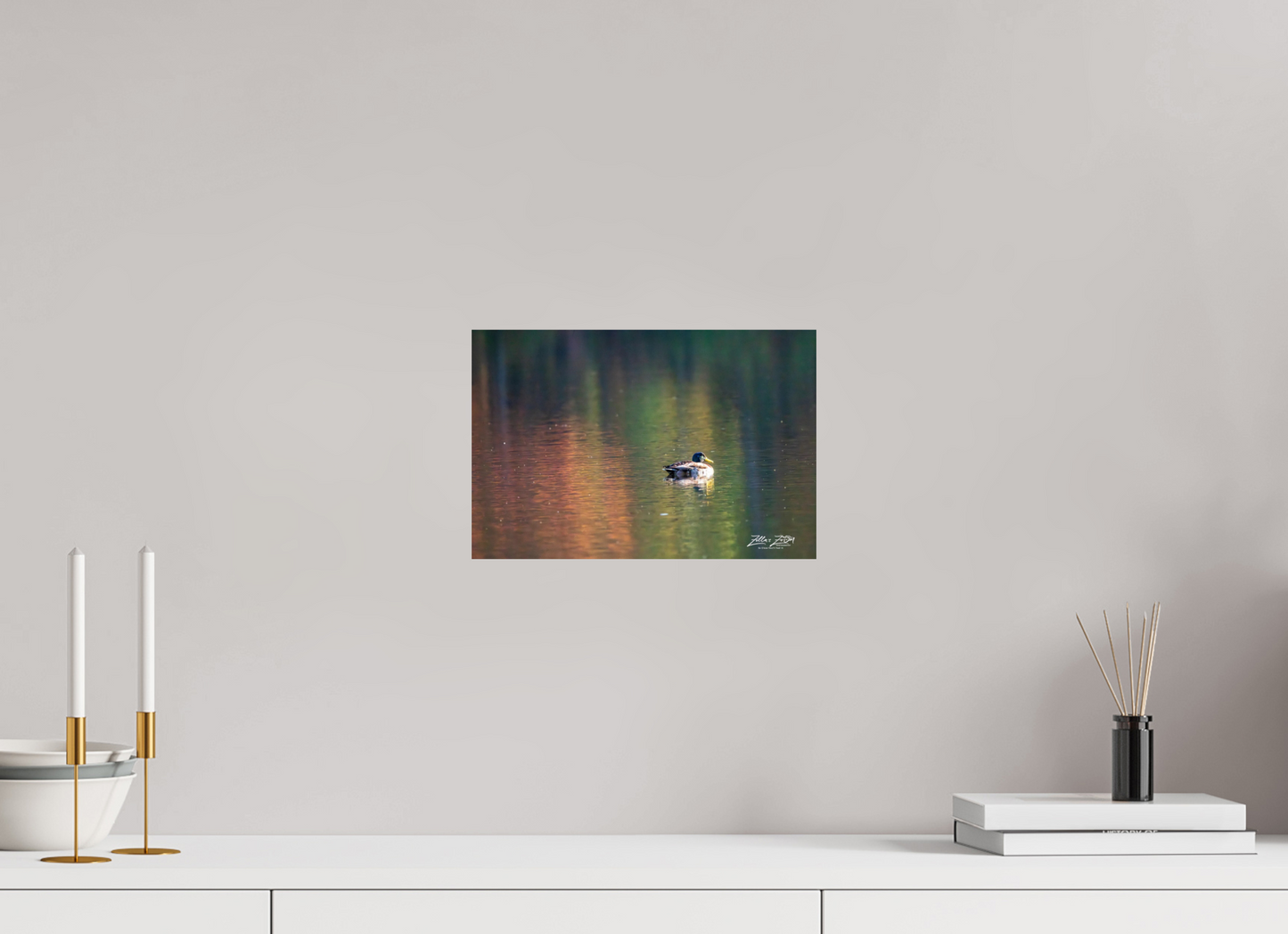 12 x 8″, Photo Print On Fuji Crystal DP II Zillas Zoom Image 209