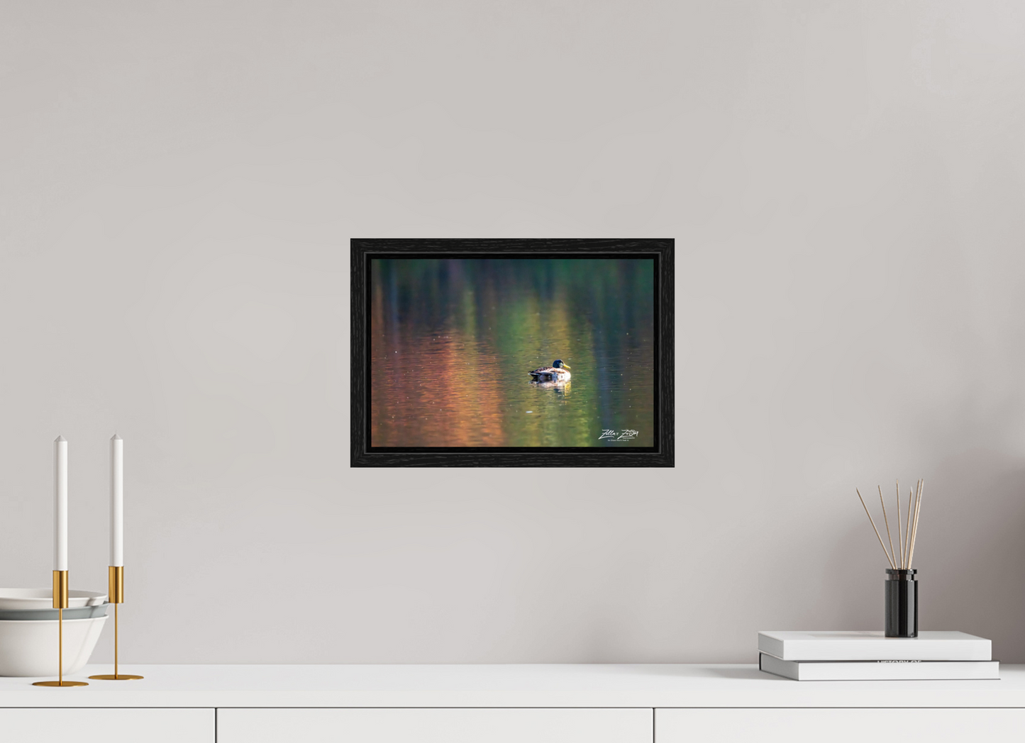 12 x 8″, Floater Frame Zillas Zoom Image 209
