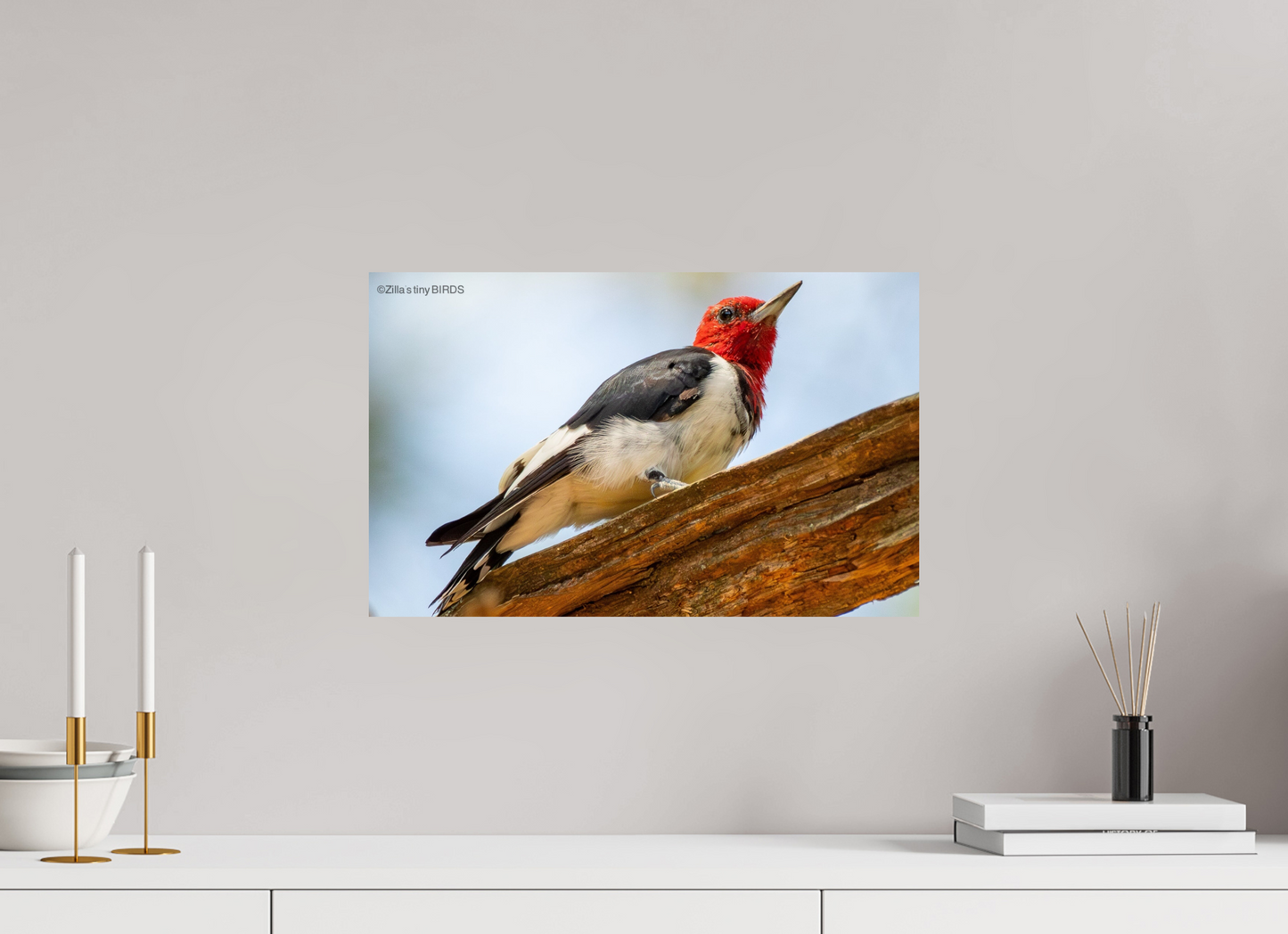 19.2 x 12″, Photo Print On Fuji Crystal DP II Zillas Zoom Image 328