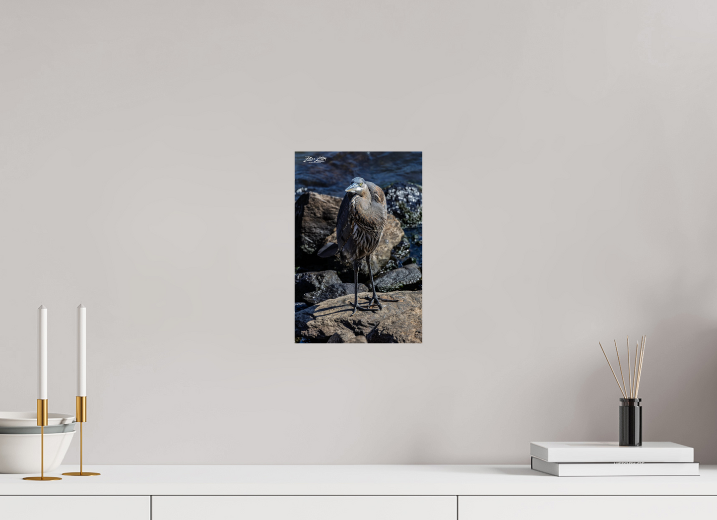 8 x 12″, Photo Print On Fuji Crystal DP II Zillas Zoom Image 449