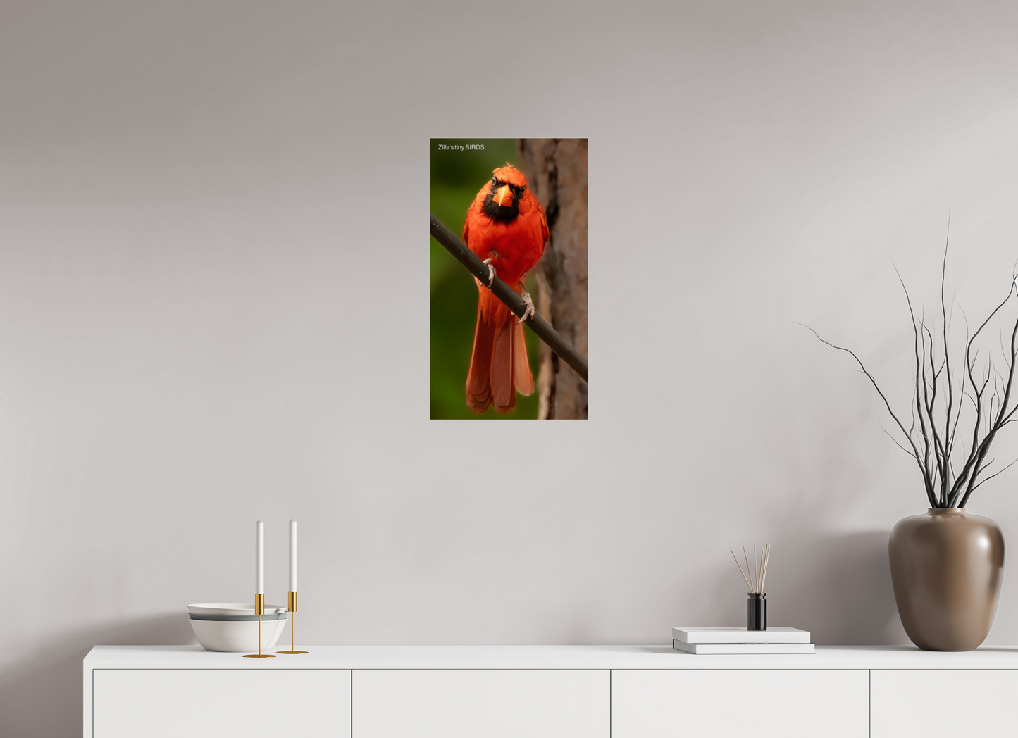 13.5 x 24″, Photo Print Under Acrylic Glass Zillas Zoom Image 484