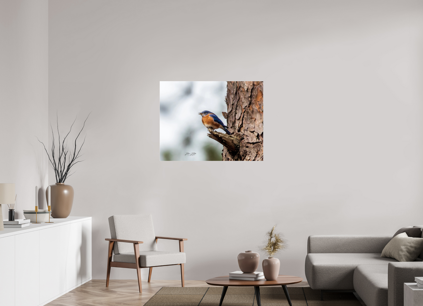 40.1 x 31″, Photo Print Under Acrylic Glass Zillas Zoom Image 349