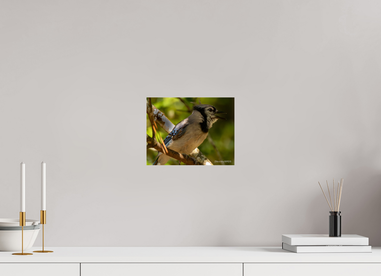 10.4 x 8″, Photo Print On Fuji Crystal DP II Zillas Zoom Image 378