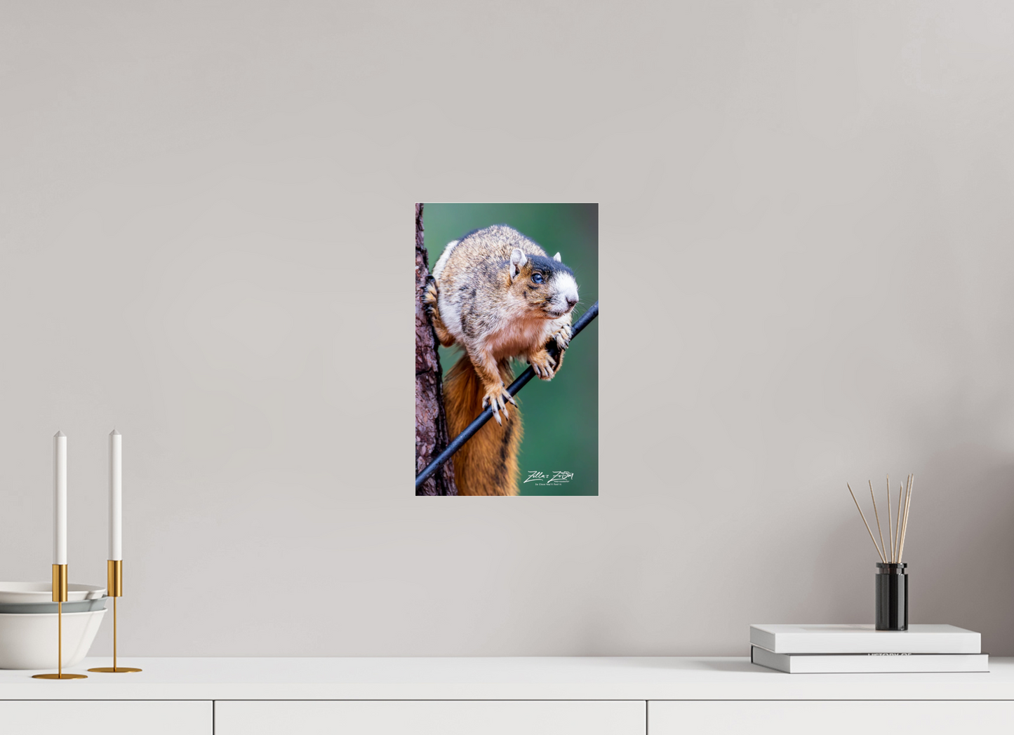8 x 12.8″, Photo Print Under Acrylic Glass Zillas zoom image 153