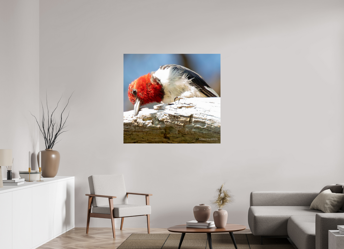 46.4 x 43″, Photo Print On Fuji Crystal DP II Zillas Zoom Image 270