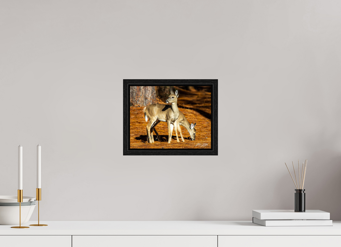 10.4 x 8″, Floater Frame Zillas zoom image 144