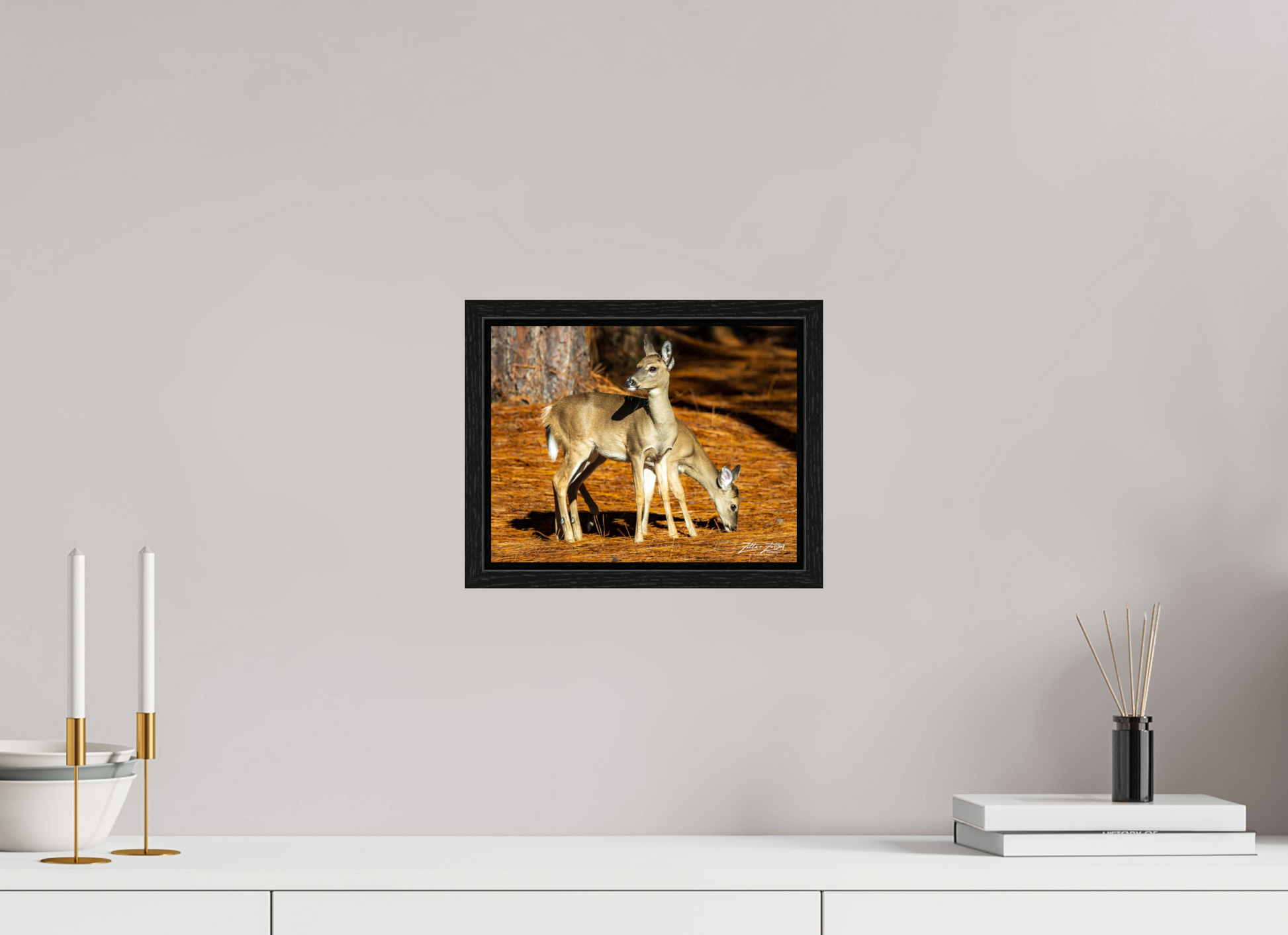 10.4 x 8″, Floater Frame Zillas zoom image 144