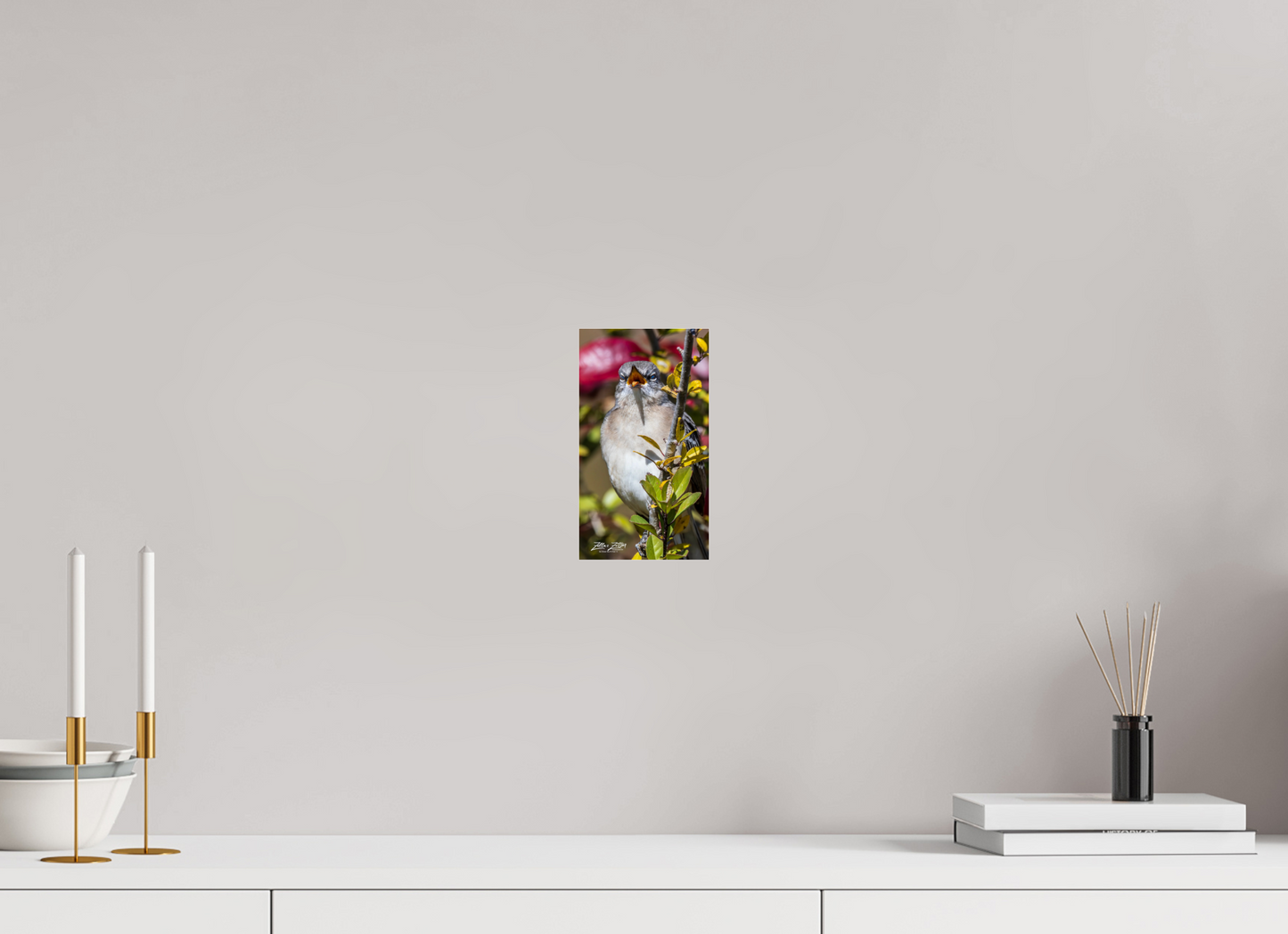 4.5 x 8″, Photo Print Under Acrylic Glass Zillas Zoom Image 405