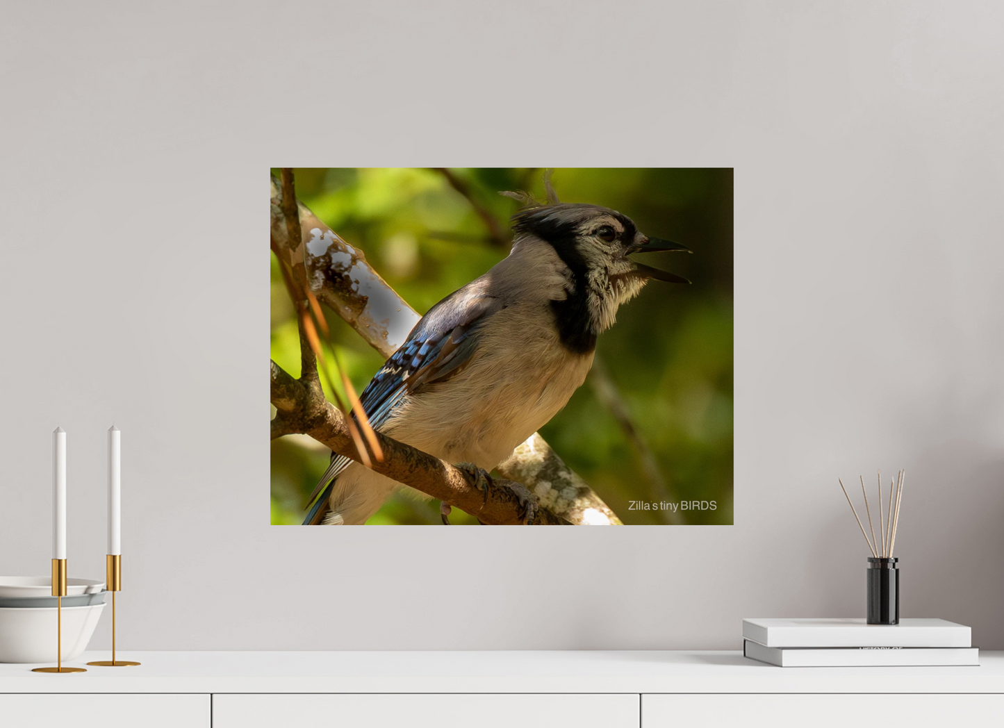 20.7 x 16″, Photo Print On Fuji Crystal DP II Zillas Zoom Image 378