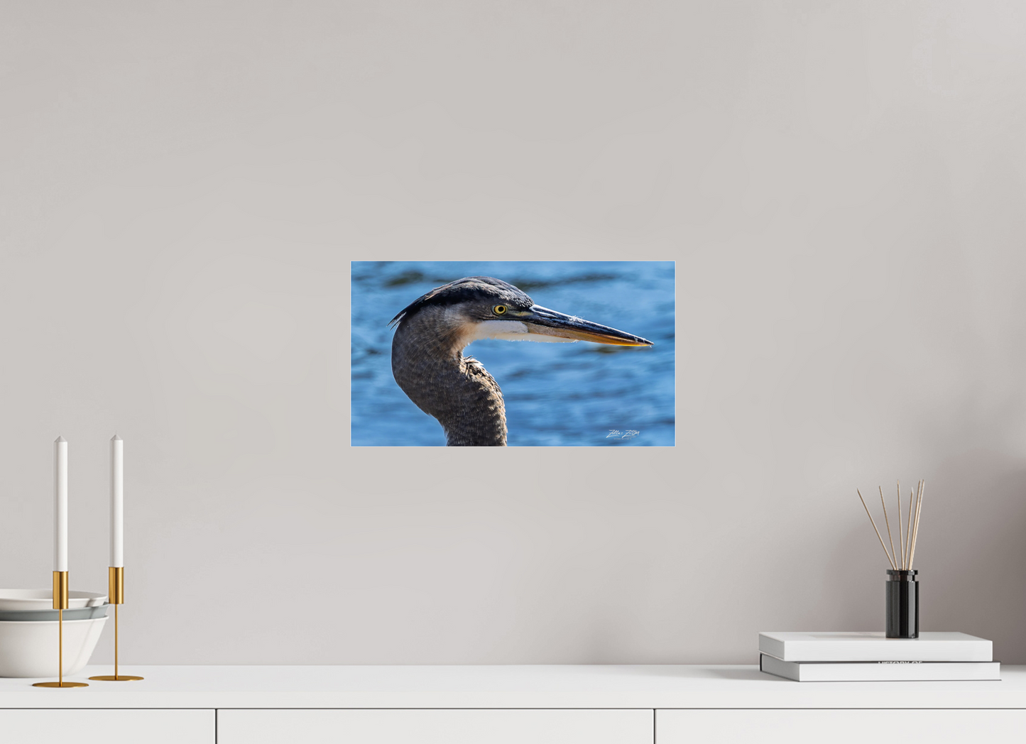 14 x 8″, Photo Print Under Acrylic Glass Zillas Zoom Image 342