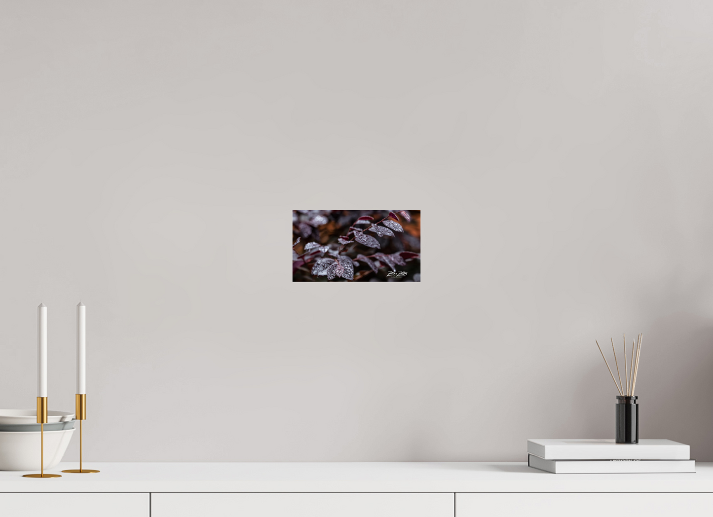 8 x 4.5″, Photo Print Under Acrylic Glass Zillas Zoom Image 88