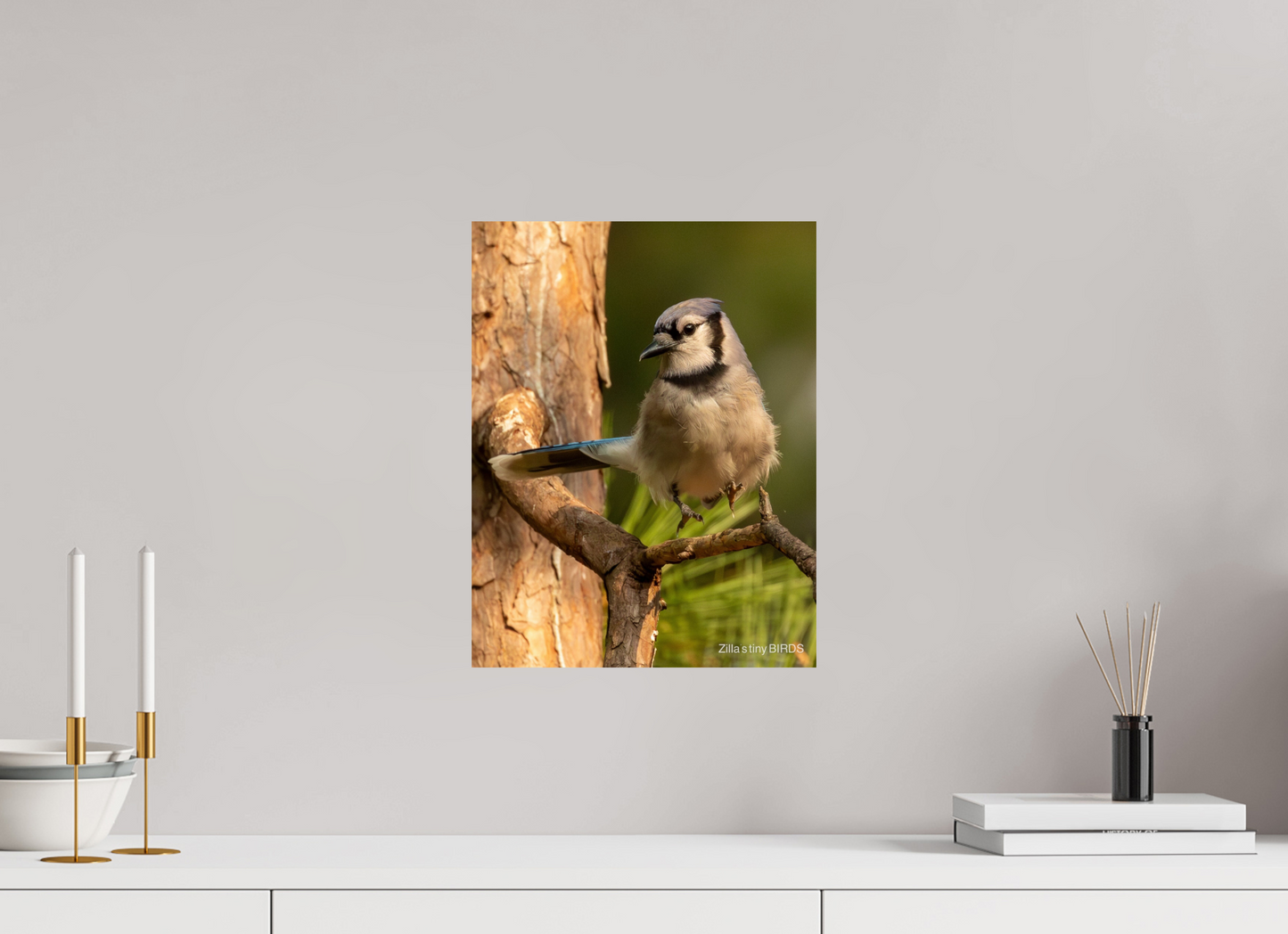 12 x 15.6″, Photo Print On Fuji Crystal DP II Zillas Zoom Image 520