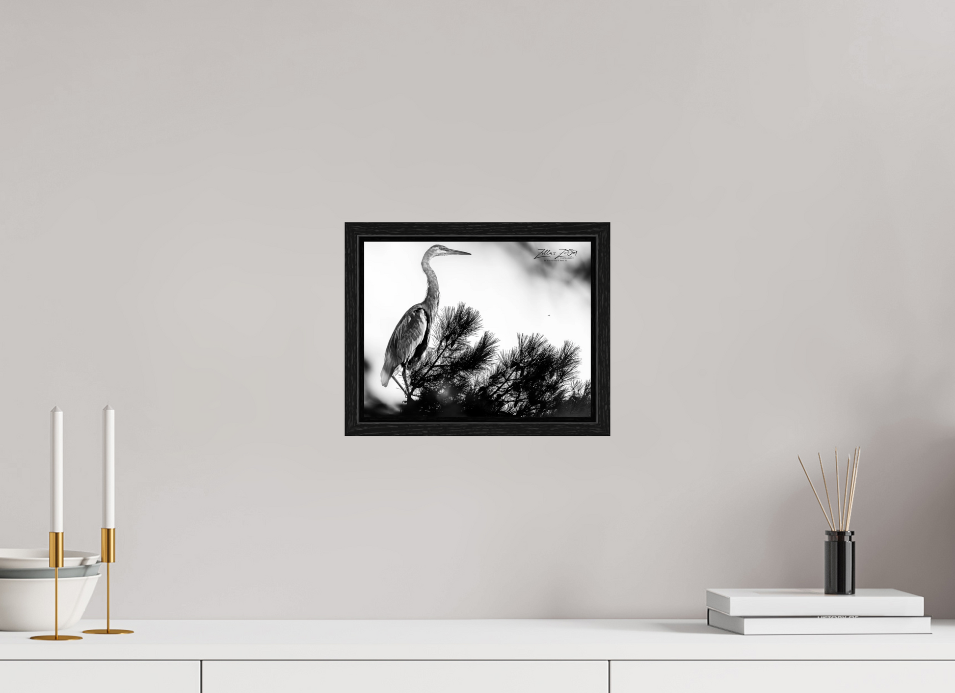 10.4 x 8″, Floater Frame Zillas Zoom Image 298